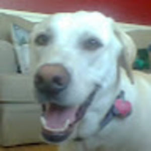 Meet your Posher, Teagan